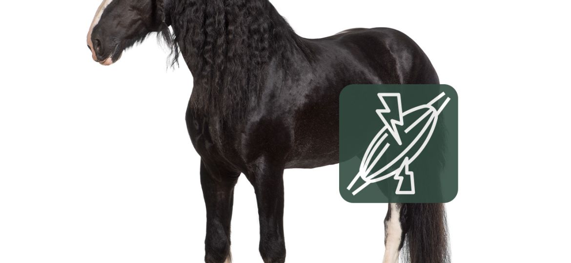 Equimins_massziv_izomepitesert